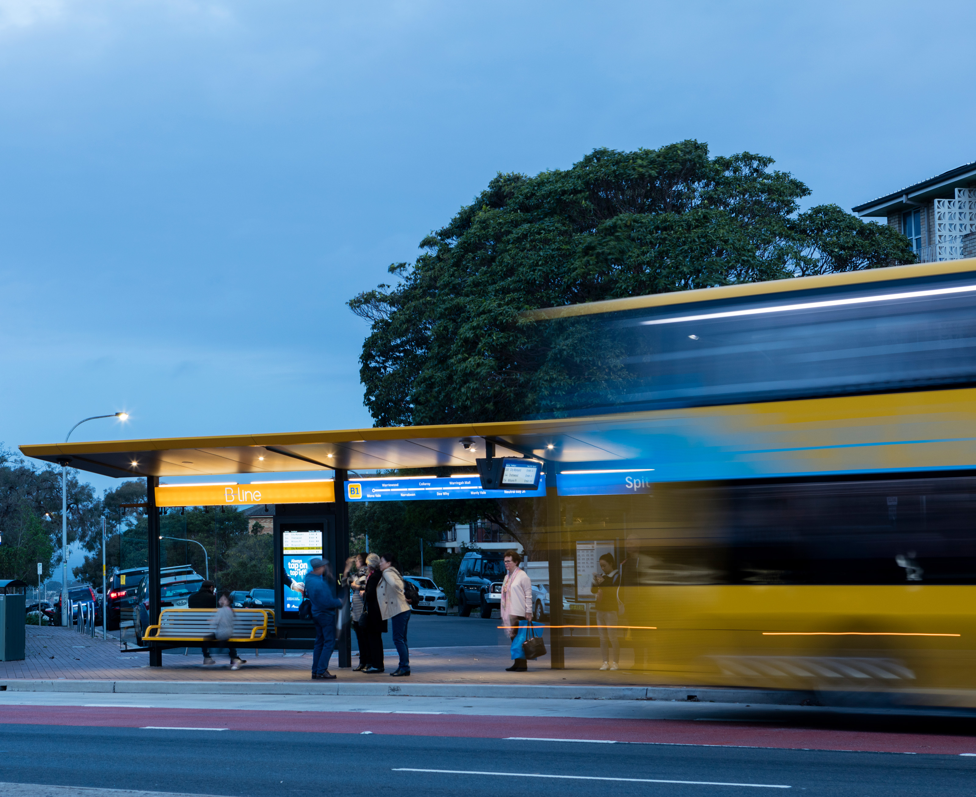 B-Line Northern Beaches Bus Rapid Transit | Urban Design | Architectus