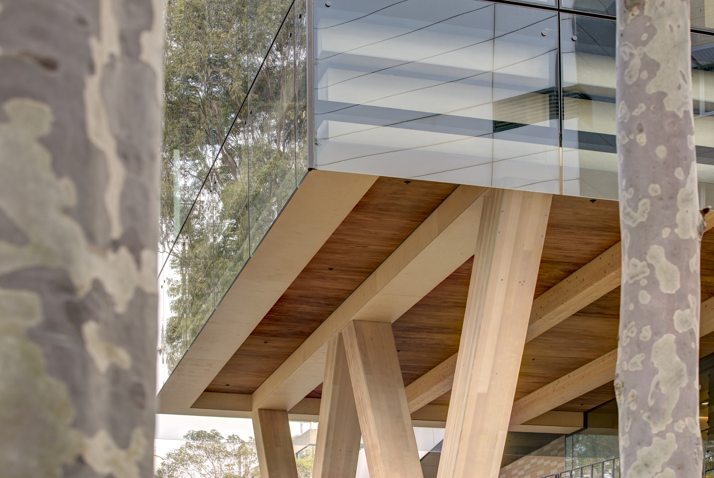 Macquarie University Ainsworth Building Architectus 